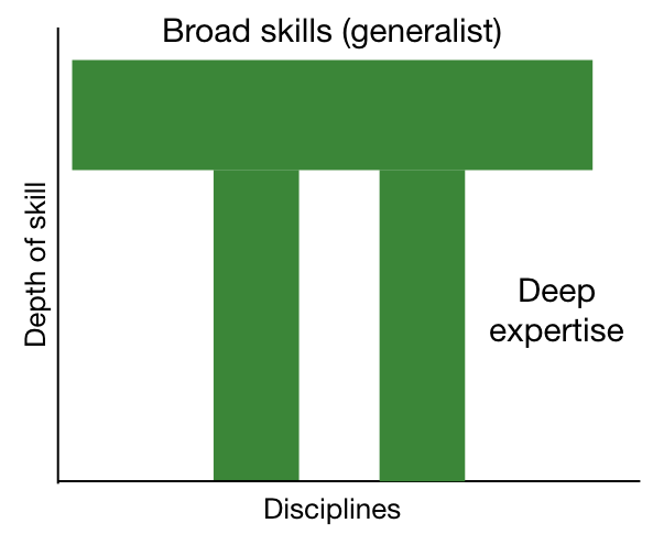 Pi shaped person -  breadth of skills as the bar, depth of expertise as the two downstrokes