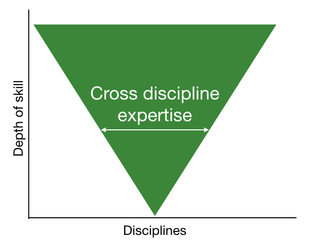 V shaped person - broader cross discipline skills, getting narrower as expertise grows